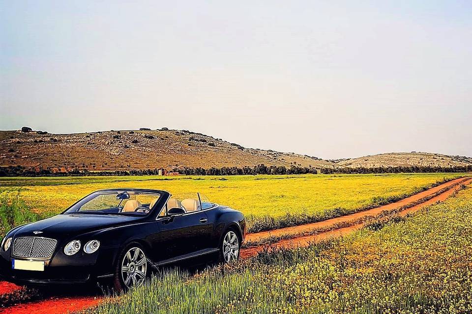 Bentley GT Cabrio