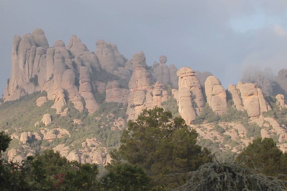 Celar Visual Stories