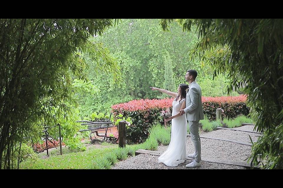 Celar Visual Stories