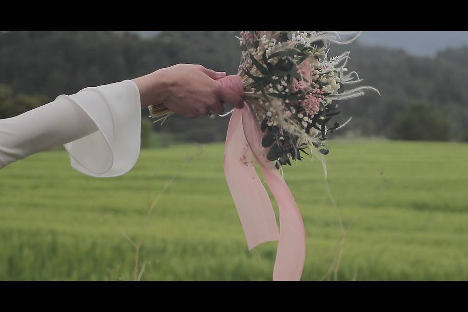 Celar Visual Stories