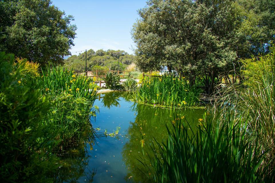 Celar Visual Stories