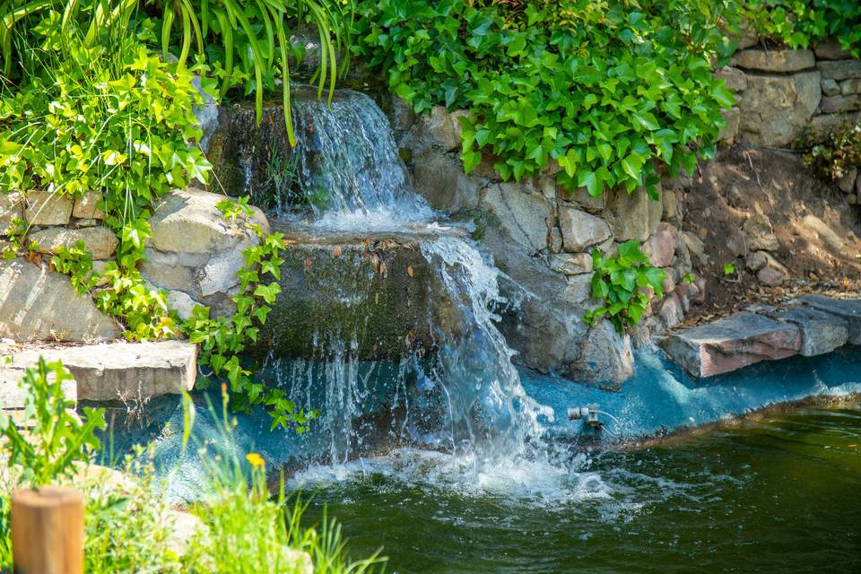 Celar Visual Stories