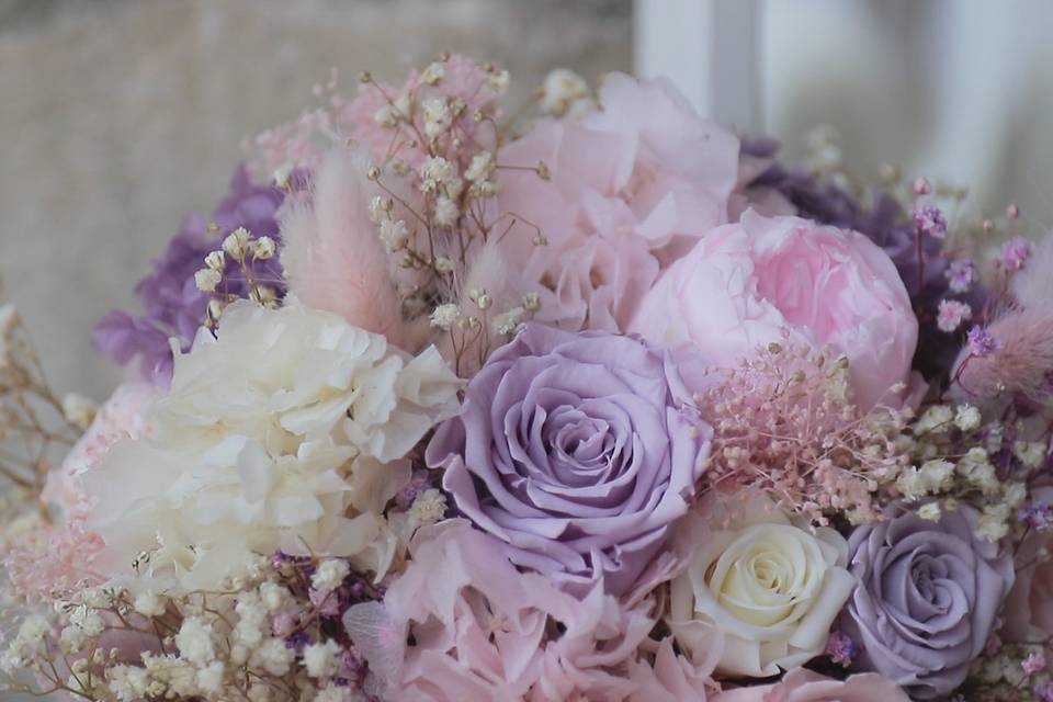 Celar Visual Stories