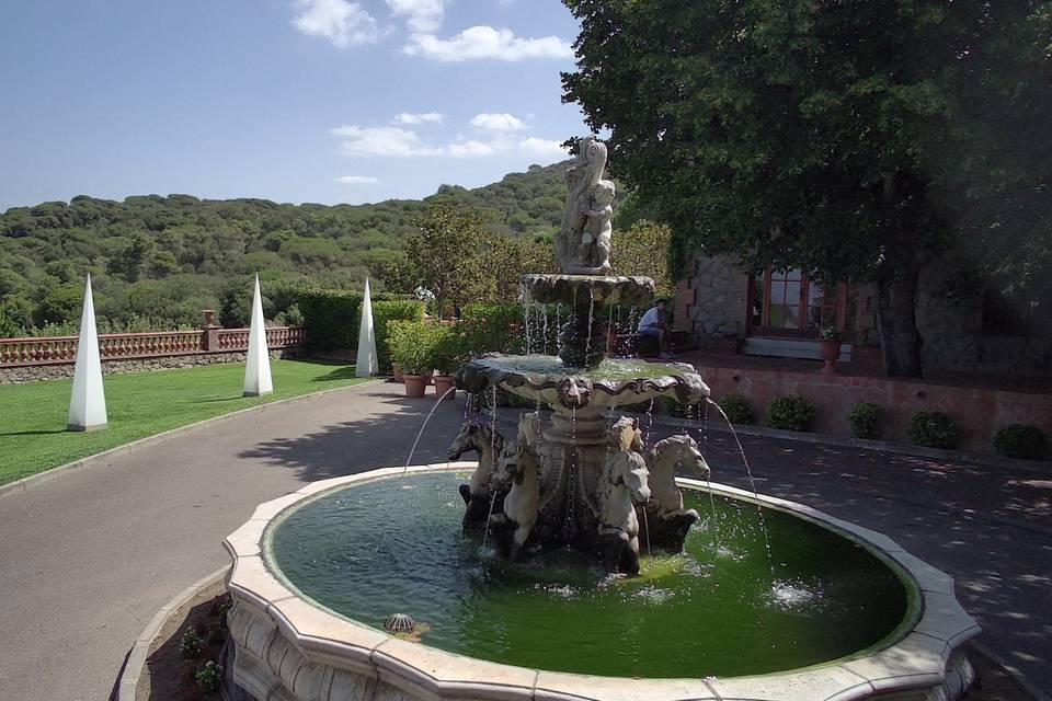 Celar Visual Stories