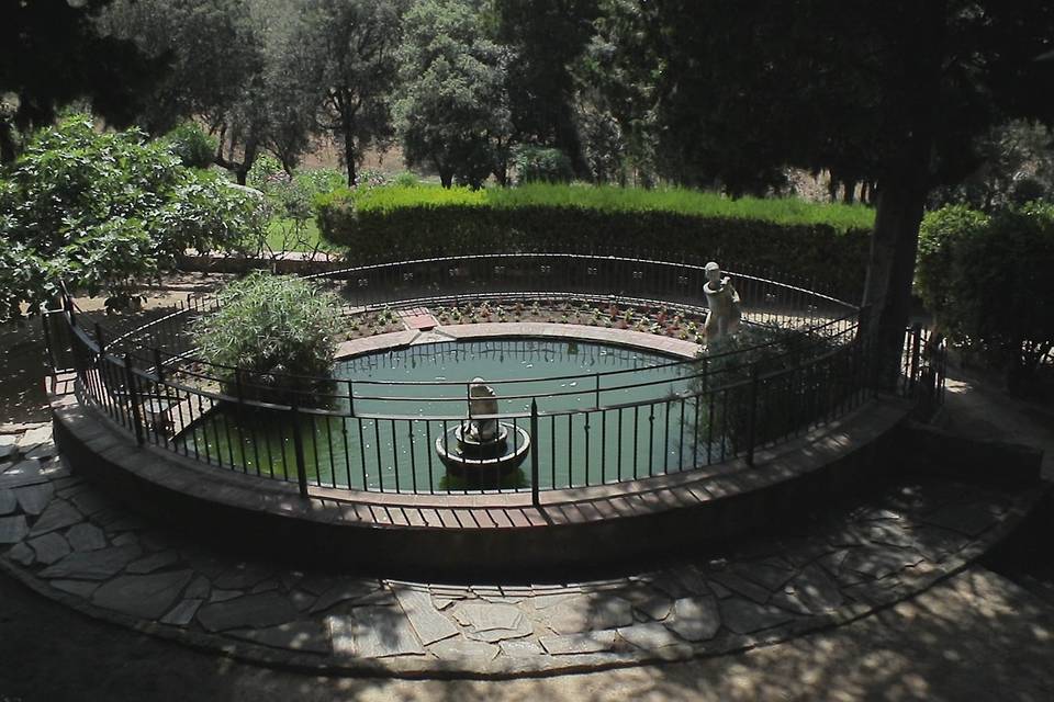 Celar Visual Stories