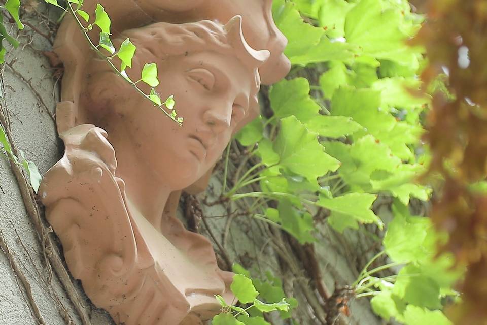 Celar Visual Stories