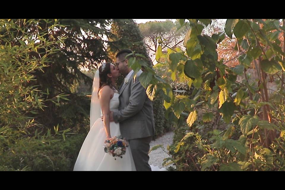 Celar Visual Stories