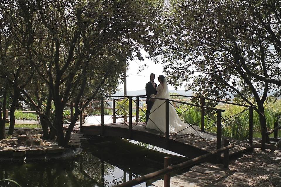 Celar Visual Stories