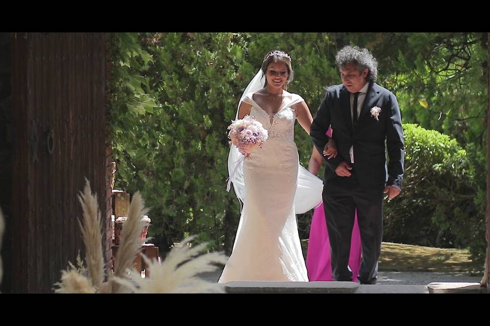 Celar Visual Stories