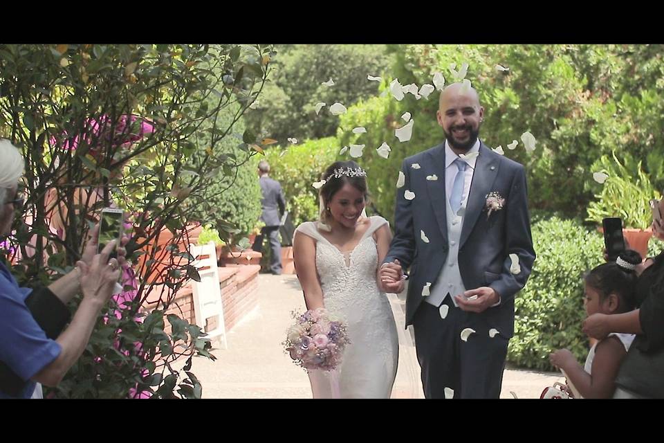 Celar Visual Stories