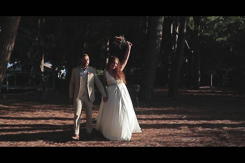 Celar Visual Stories