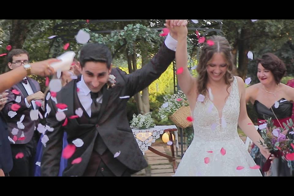 Celar Visual Stories