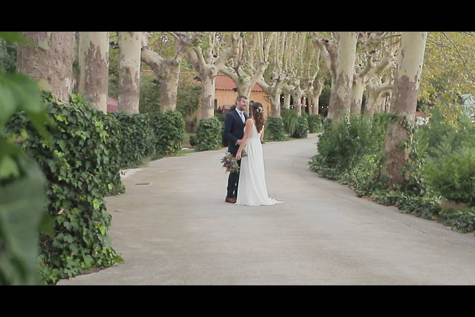 Celar Visual Stories