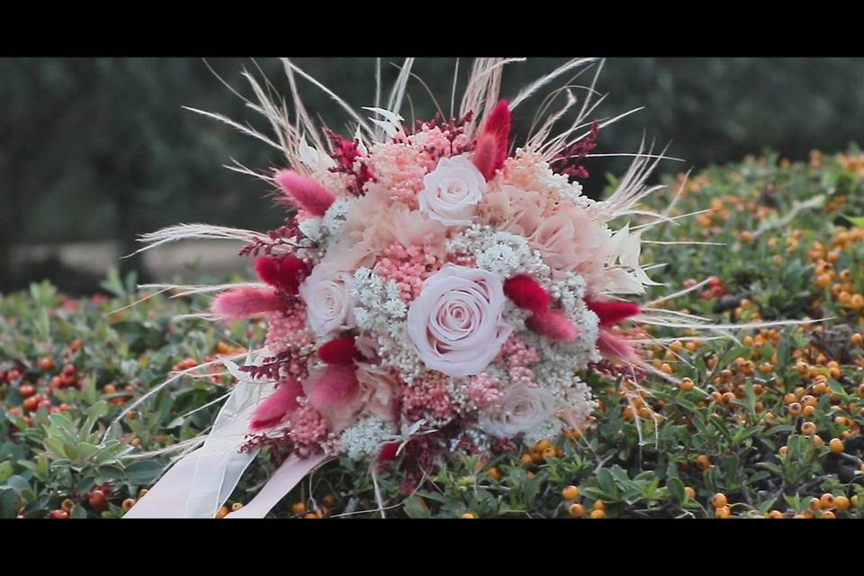 Celar Visual Stories