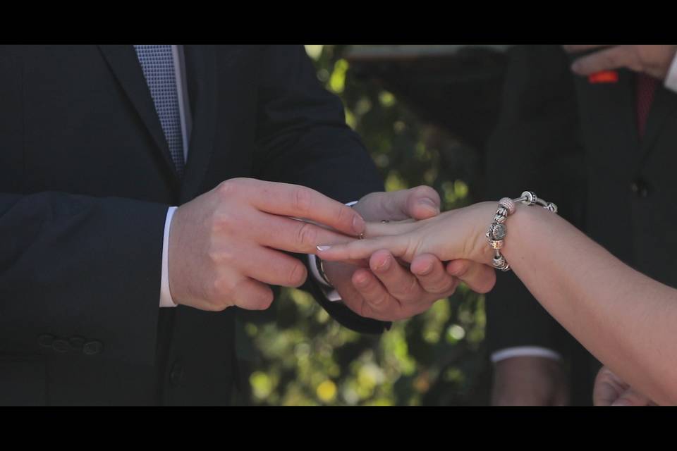 Celar Visual Stories