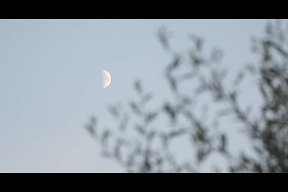 Celar Visual Stories