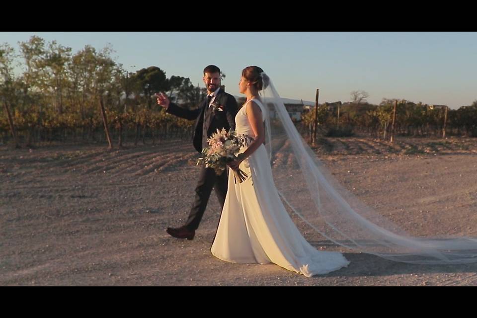 Celar Visual Stories