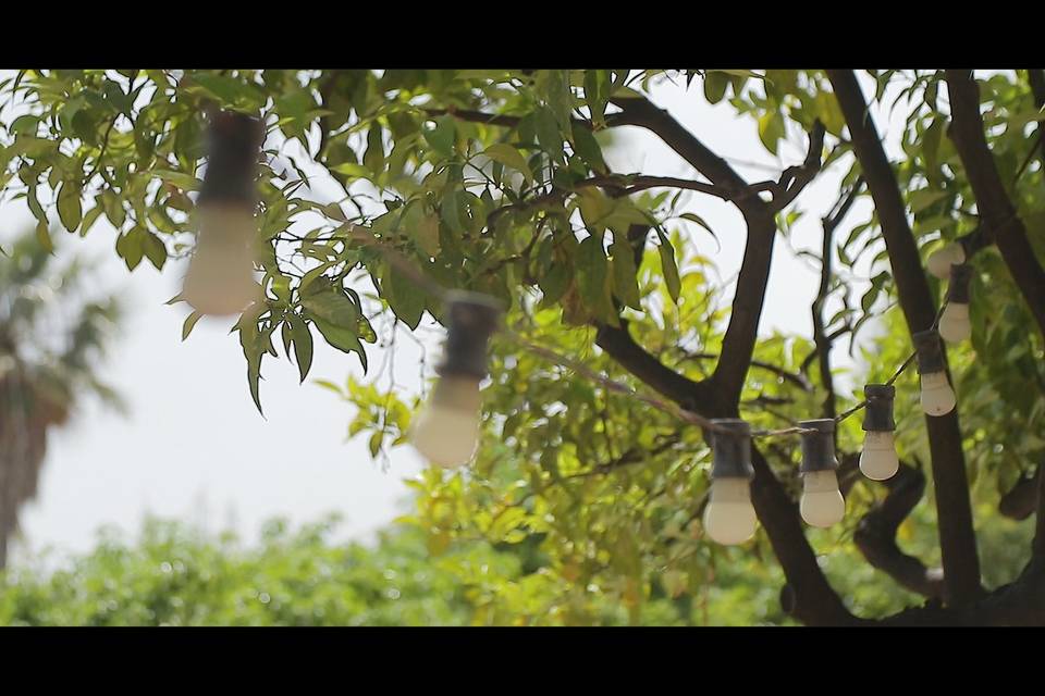 Celar Visual Stories