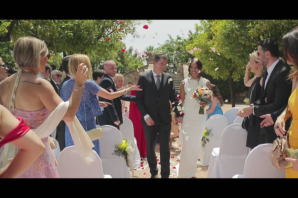 Celar Visual Stories