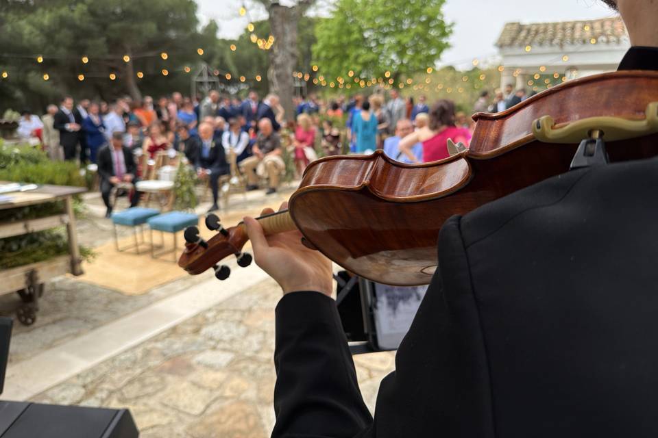 Violín en ceremonia