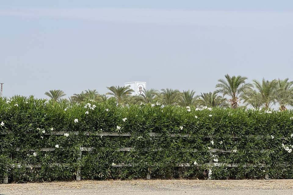 Hacienda El Chaparrejo