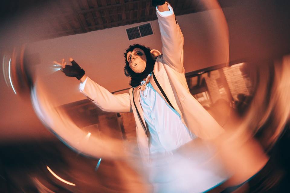 Zancudos 2