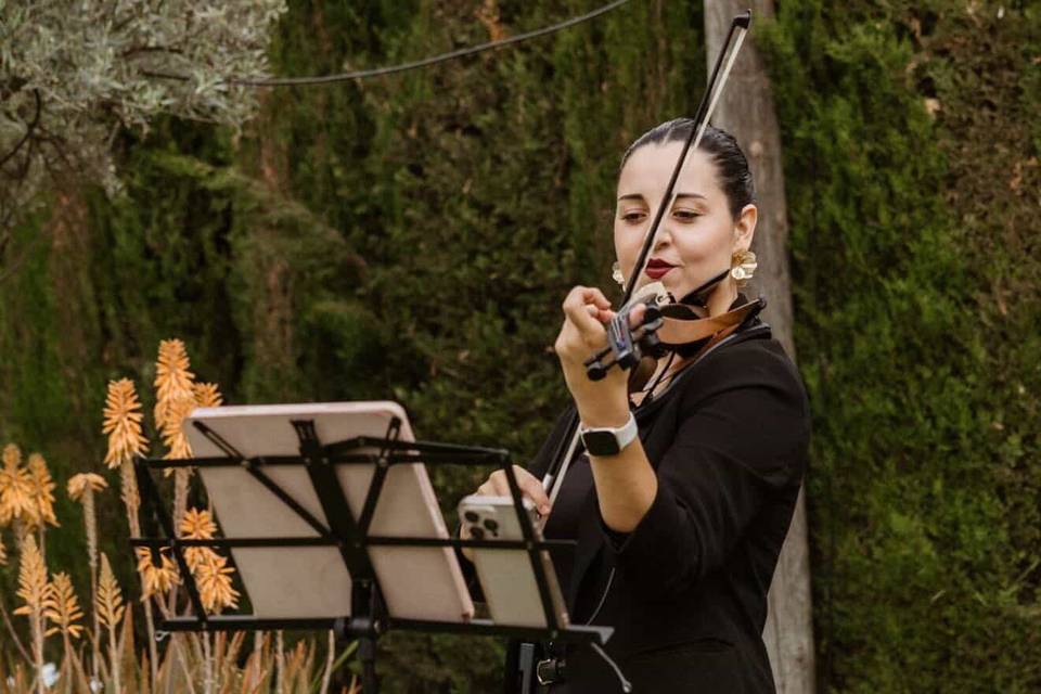 Paloma Valero