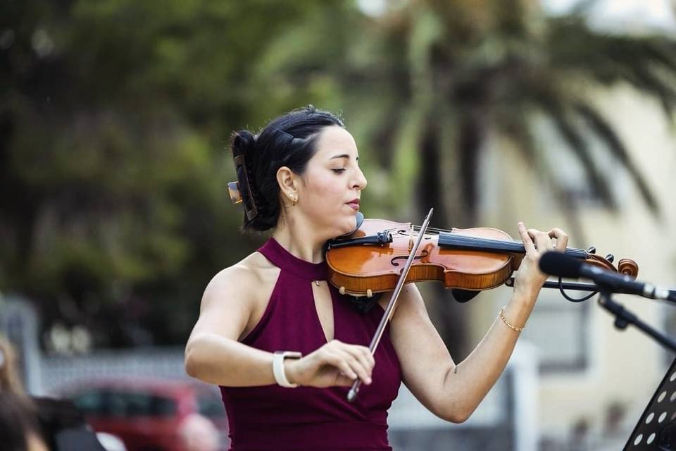 Paloma Valero