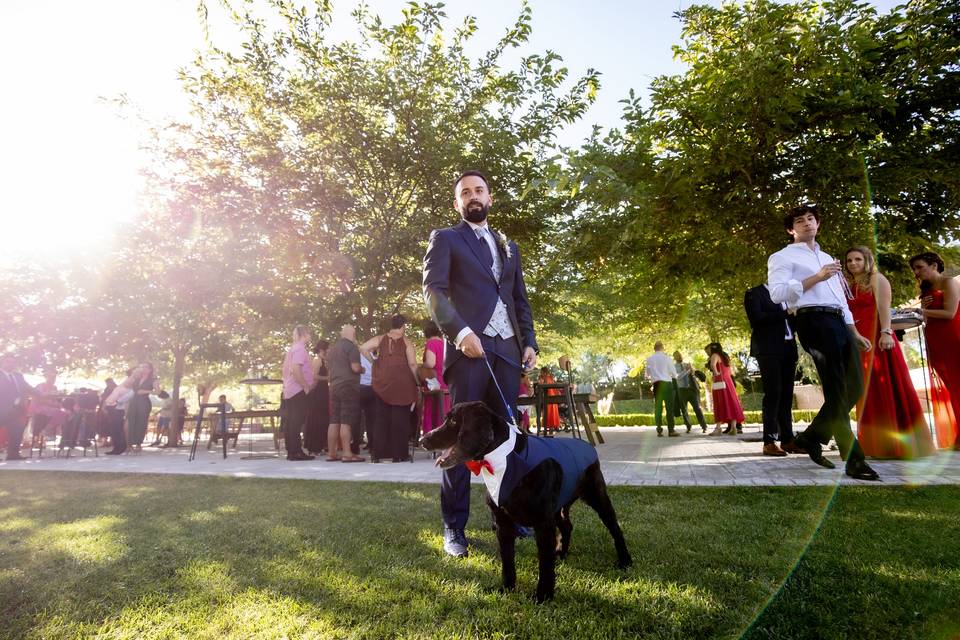 Boda quinta Hayara