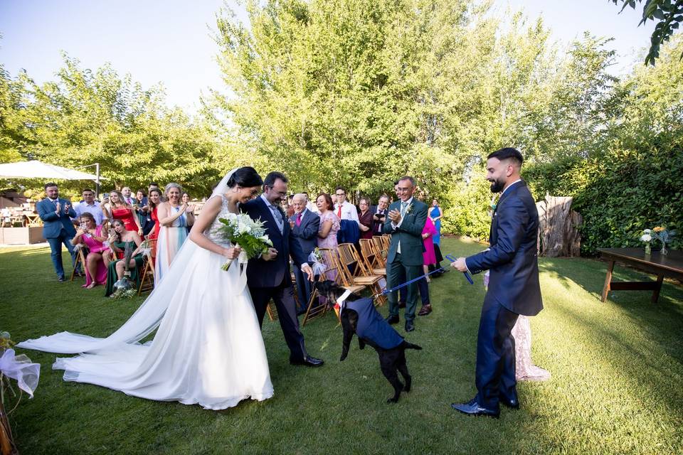 Boda quinta Hayara