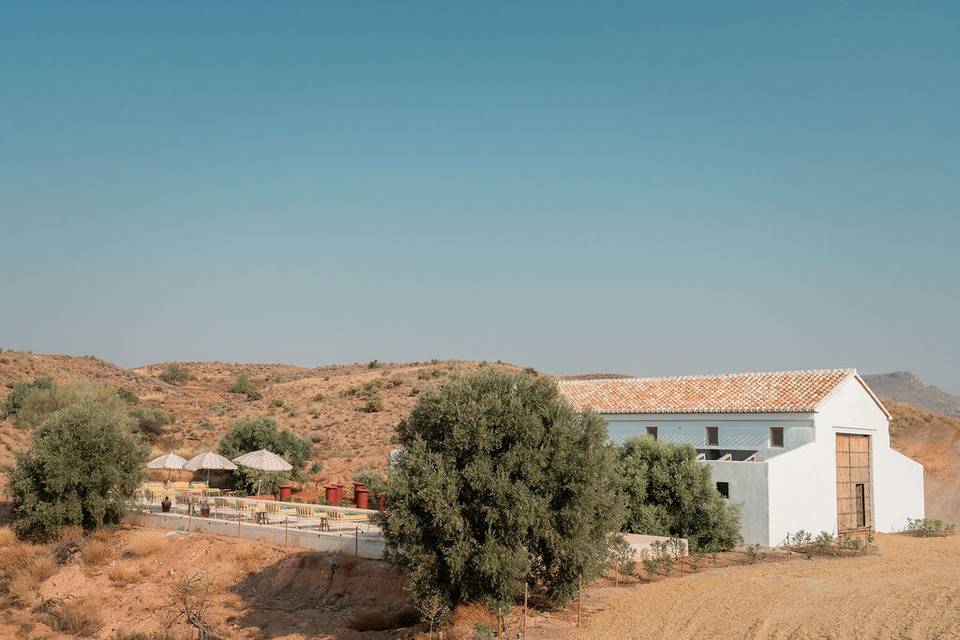 Cortijo Banana