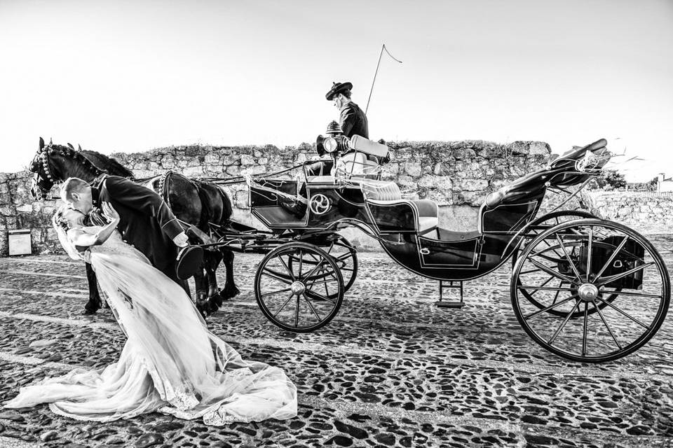 Posado en la playa