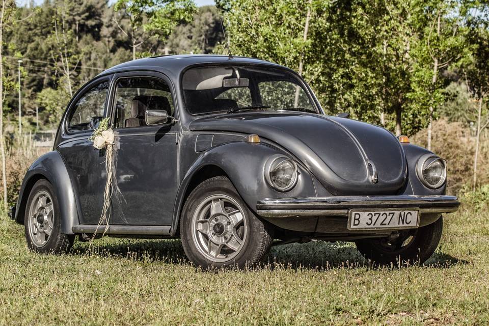 Beetle gris 1200 del 1972