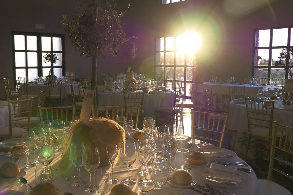 Vídeos de boda León