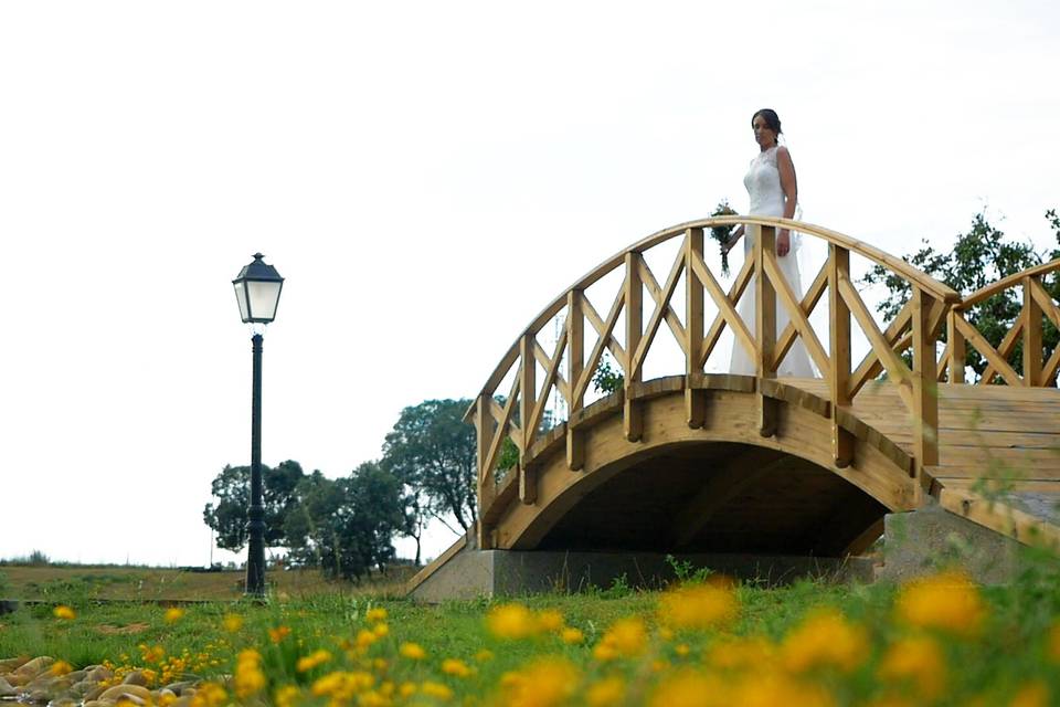 Vídeos de boda León