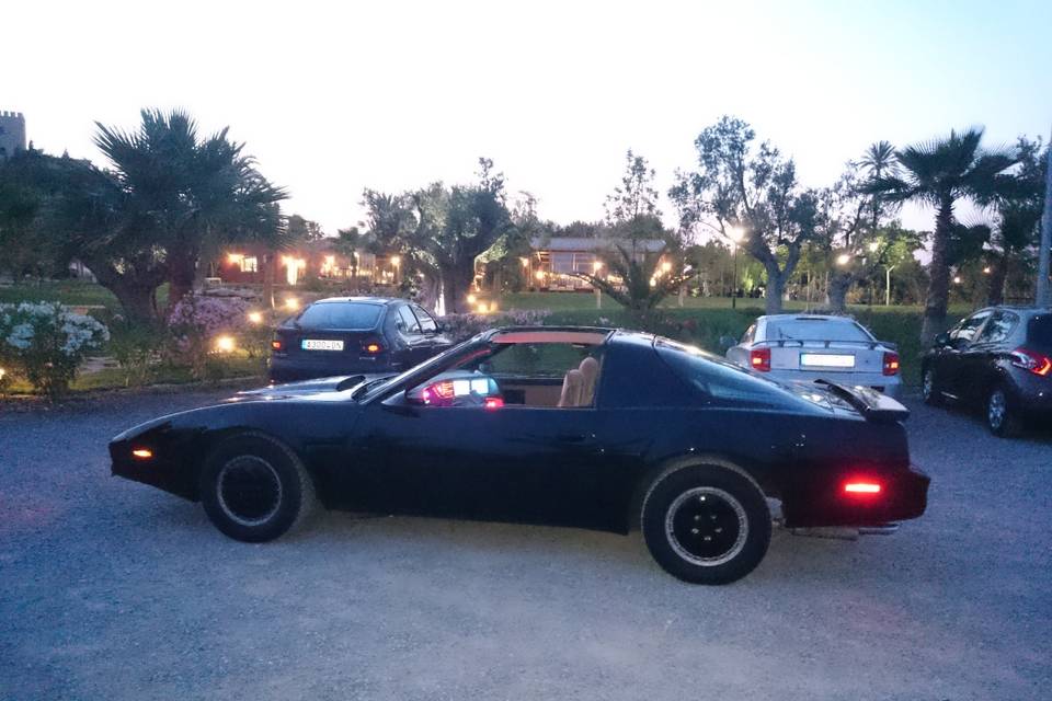 Kitt