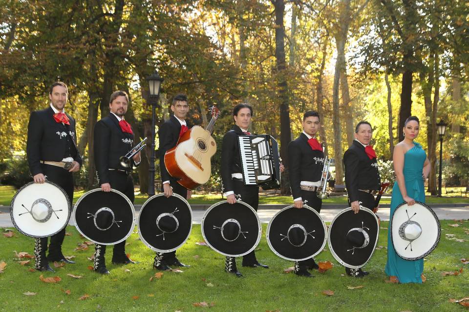 Mariachis