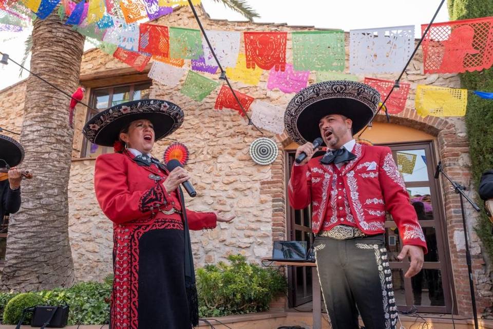 Cantantes profesionales