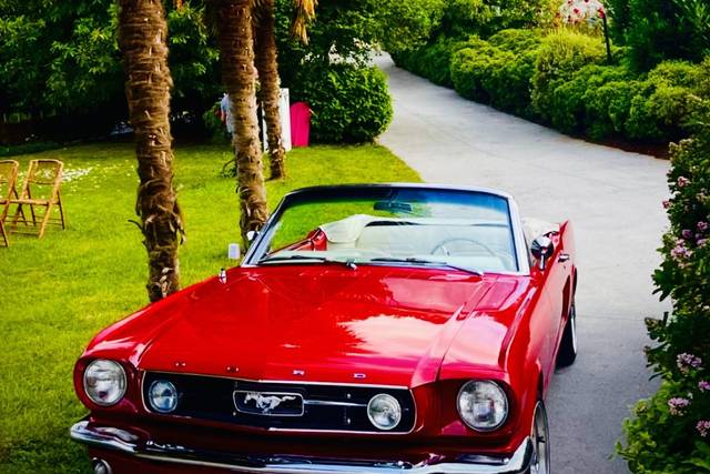 Ford Mustang 66 GT Cabrio
