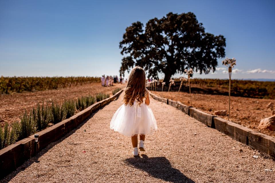 Lavidaesbellafotografia