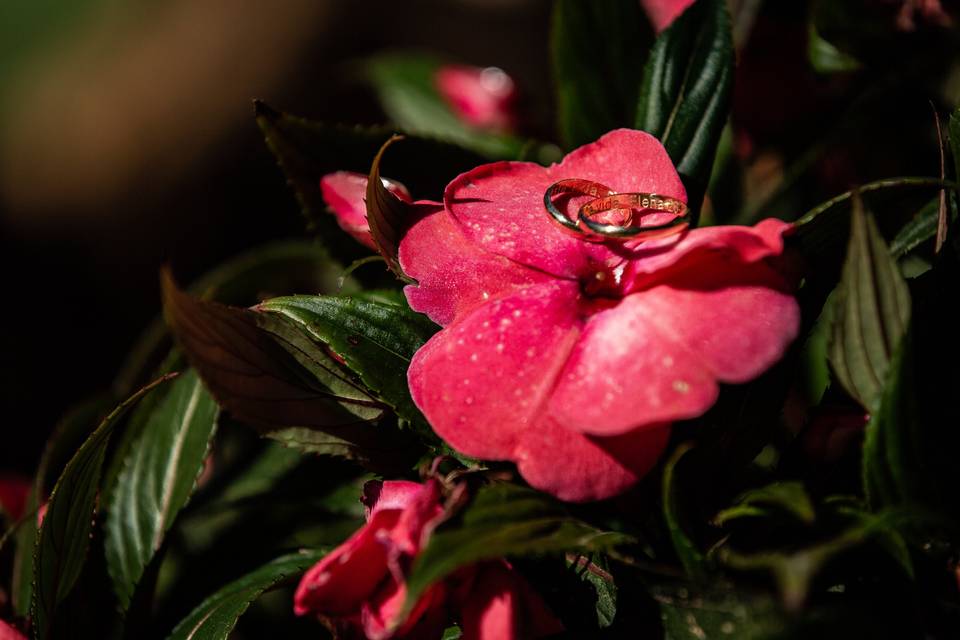 Lavidaesbellafotografia