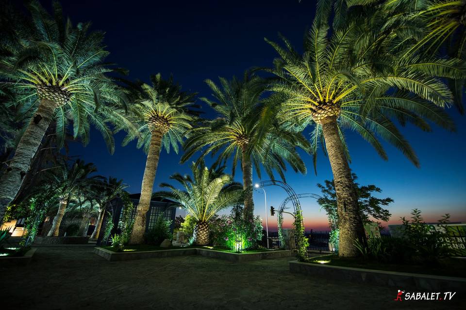 Jardines de noche