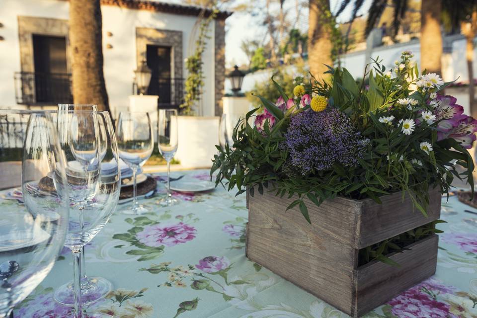 Copa bienvenida en jardín