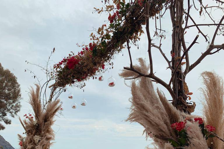 Arco con flores y pampas