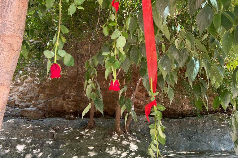 Rosas colgantes