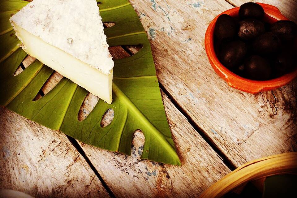 Presentación de queso madurado