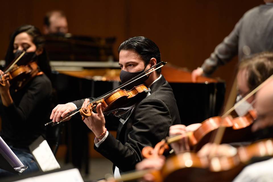 Jesús Oviedo Violinista