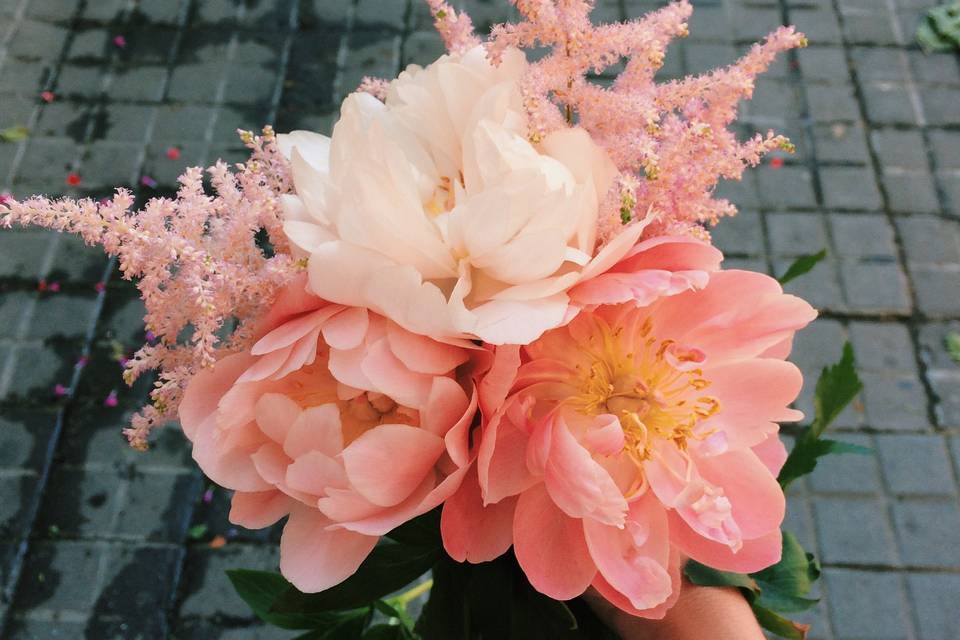 Peonias y astilbe