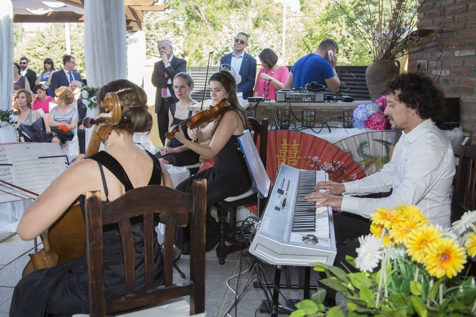 Boda con música