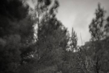 Boda en Anama Events | Rossell